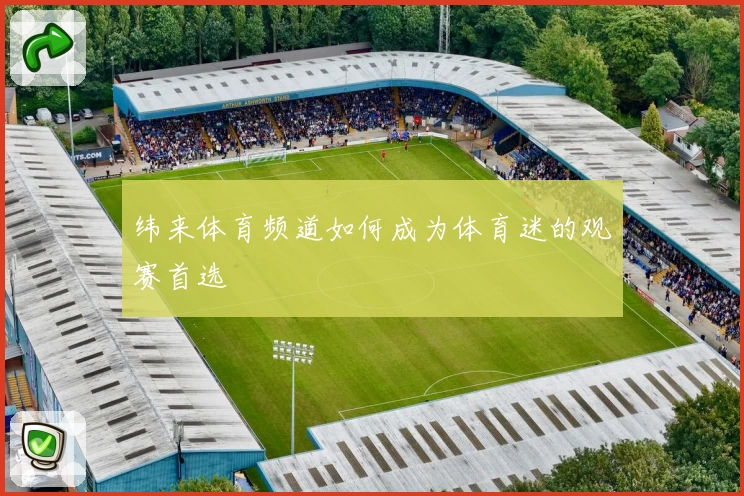 纬来体育频道如何成为体育迷的观赛首选