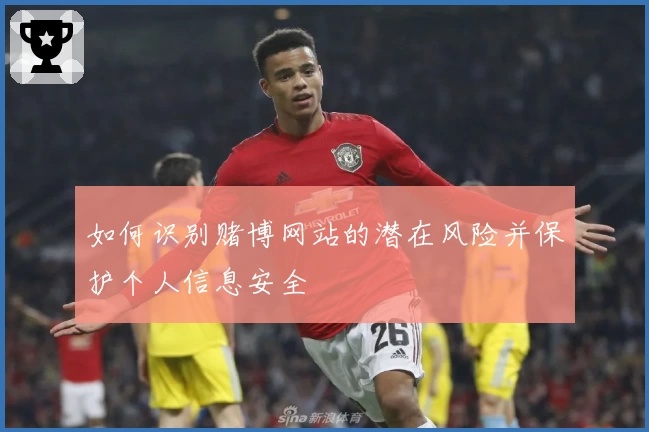 如何识别赌博网站的潜在风险并保护个人信息安全