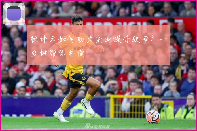 软件云如何助力企业提升效率？一分钟帮你看懂