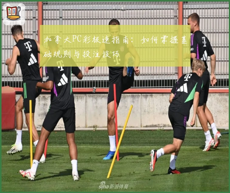 加拿大PC彩极速指南:如何掌握基础规则与投注技巧