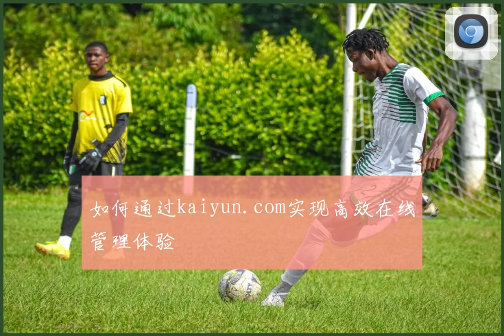 如何通过kaiyun.com实现高效在线管理体验