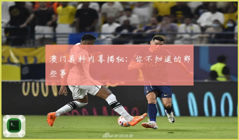 澳门真料内幕揭秘：你不知道的那些事