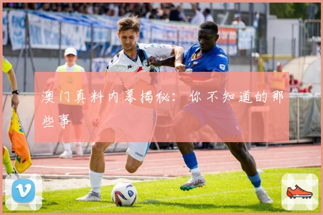 澳门真料内幕揭秘：你不知道的那些事