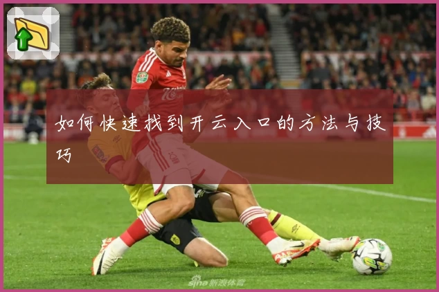 如何快速找到开云入口的方法与技巧