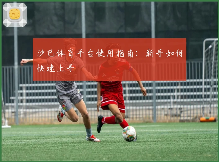 沙巴体育平台使用指南：新手如何快速上手