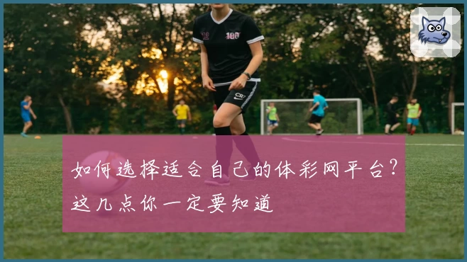 如何选择适合自己的体彩网平台？这几点你一定要知道