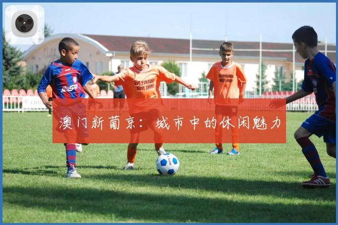 澳门新葡京：城市中的休闲魅力
