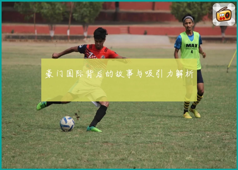 豪门国际背后的故事与吸引力解析