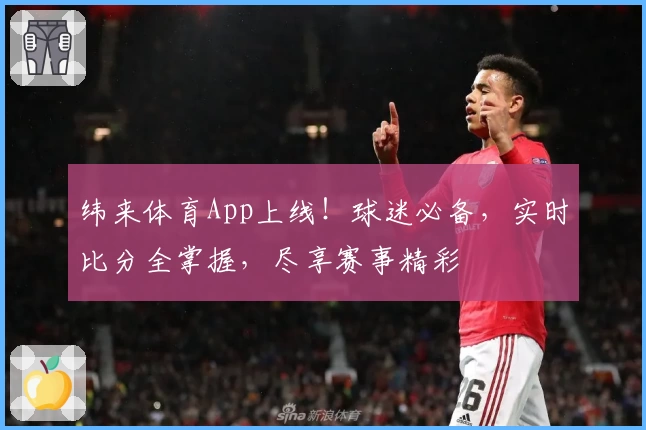 纬来体育App上线！球迷必备，实时比分全掌握，尽享赛事精彩