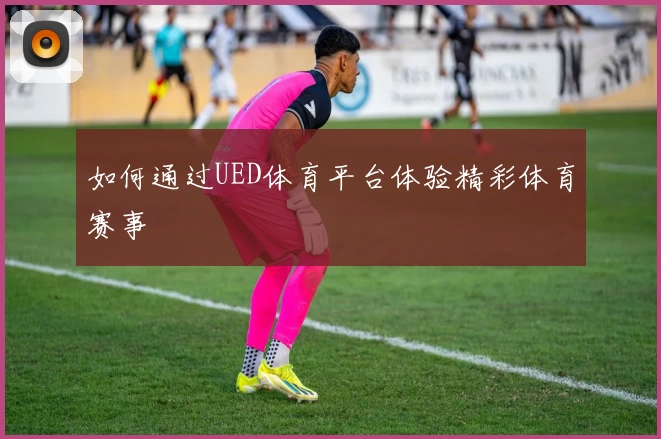 如何通过UED体育平台体验精彩体育赛事