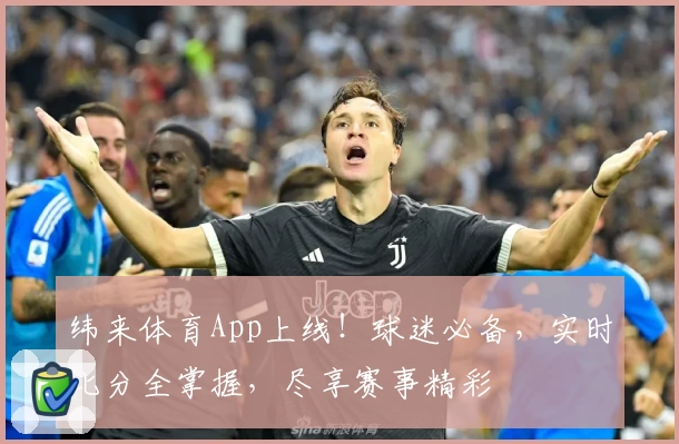 纬来体育App上线！球迷必备，实时比分全掌握，尽享赛事精彩