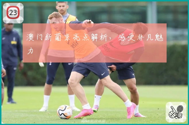 澳门新葡京亮点解析，感受非凡魅力