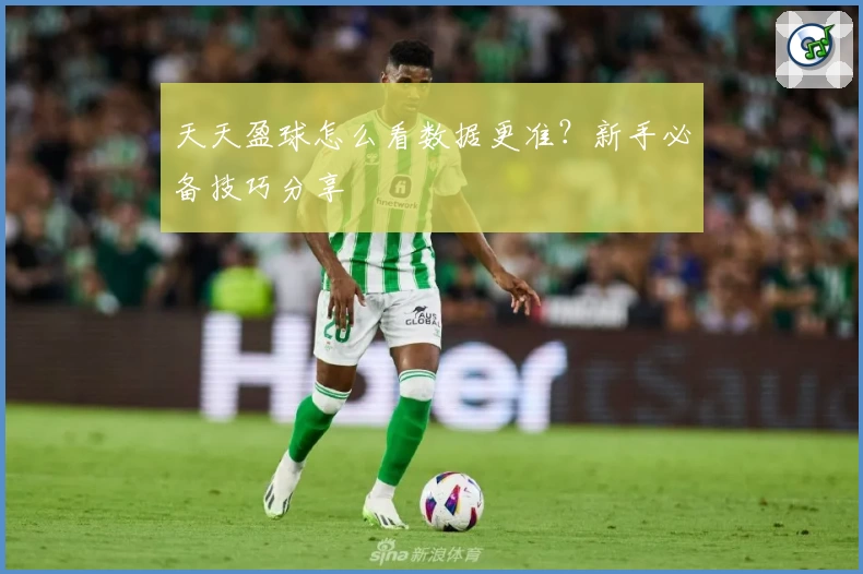 天天盈球怎么看数据更准？新手必备技巧分享