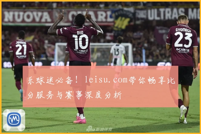 乐球迷必备！leisu.com带你畅享比分服务与赛事深度分析