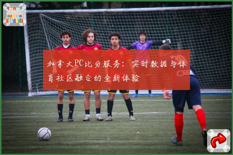 加拿大PC比分服务：实时数据与体育社区融合的全新体验