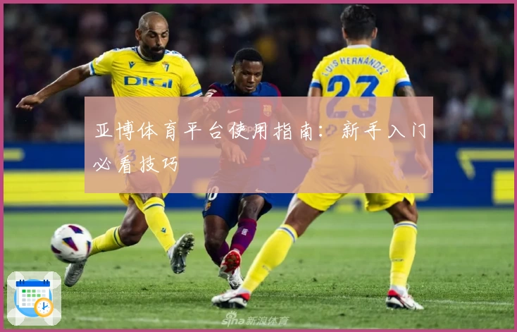 亚博体育平台使用指南：新手入门必看技巧