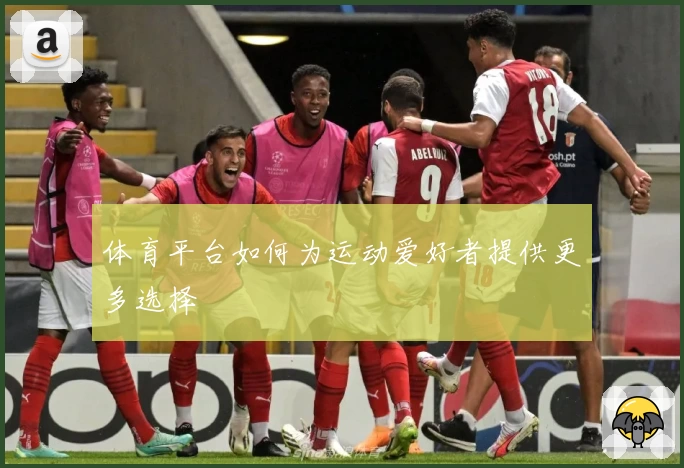 体育平台如何为运动爱好者提供更多选择