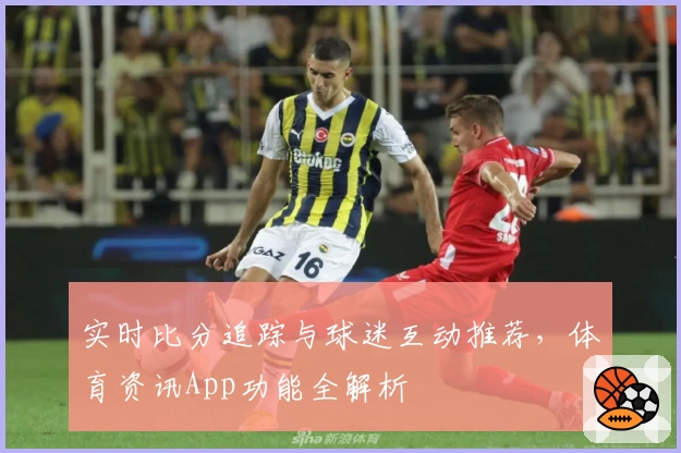 实时比分追踪与球迷互动推荐，体育资讯App功能全解析