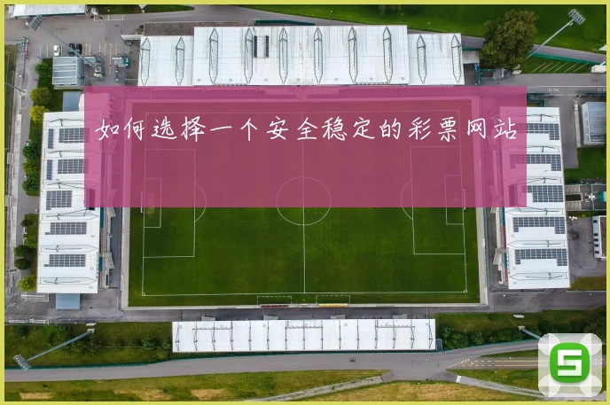 如何选择一个安全稳定的彩票网站