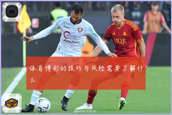 体育博彩的技巧与风险需要了解什么