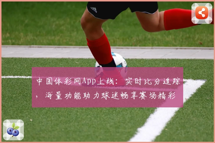 中国体彩网App上线：实时比分追踪，海量功能助力球迷畅享赛场精彩