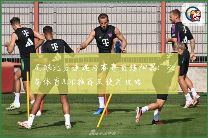 足球比分速递与赛事直播神器：必备体育App推荐及使用攻略