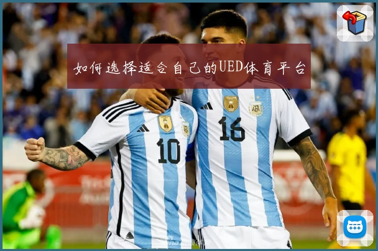 如何选择适合自己的UED体育平台
