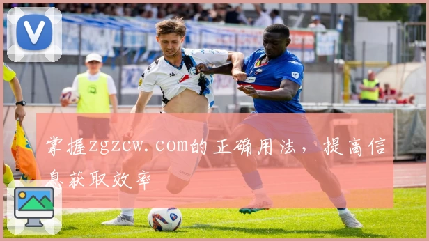 掌握zgzcw.com的正确用法，提高信息获取效率