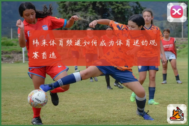 纬来体育频道如何成为体育迷的观赛首选
