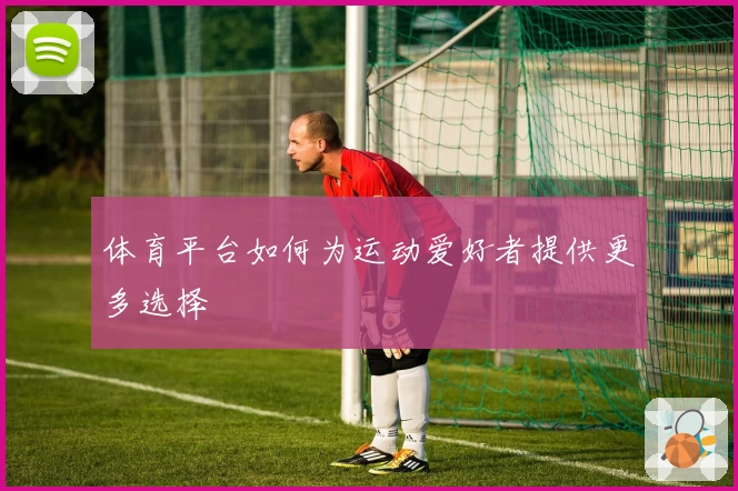 体育平台如何为运动爱好者提供更多选择