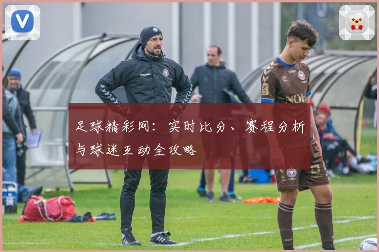 足球精彩网：实时比分、赛程分析与球迷互动全攻略