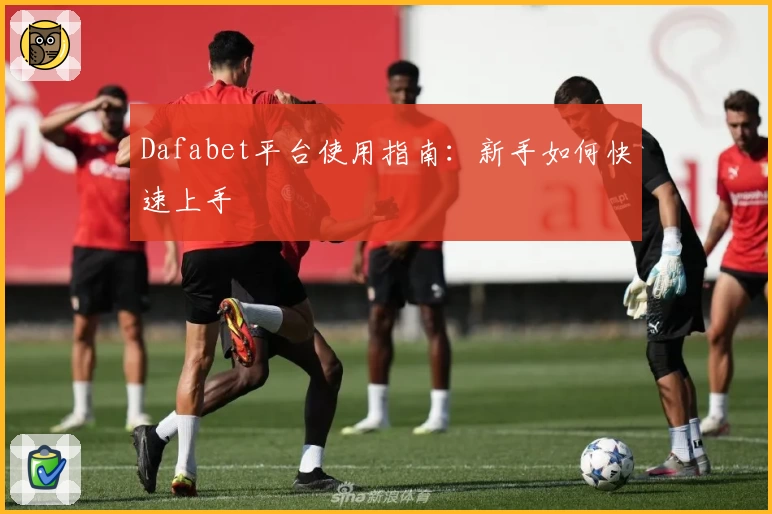 Dafabet平台使用指南：新手如何快速上手
