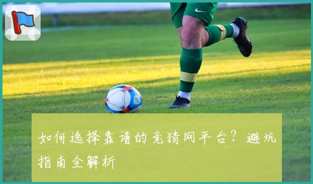 如何选择靠谱的竞猜网平台？避坑指南全解析